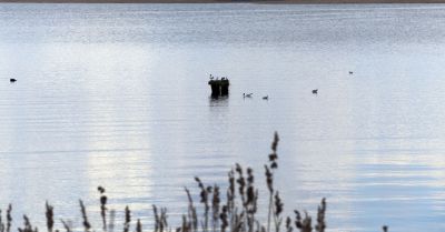 Zwłoki w walizce dryfującej w rzeczce w Ustce to 42-letni zaginiony